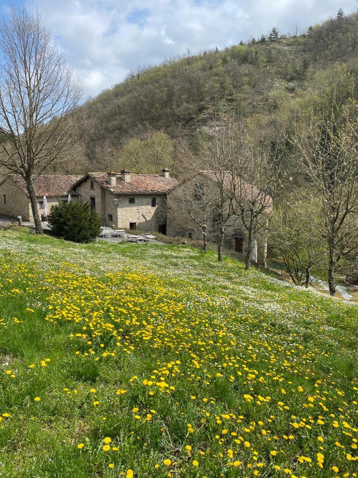 Borgo Corniola B&B Naturista มาร์ราดิ ภายนอก รูปภาพ